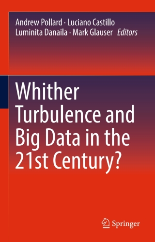表紙画像: Whither Turbulence and Big Data in the 21st Century? 9783319412153