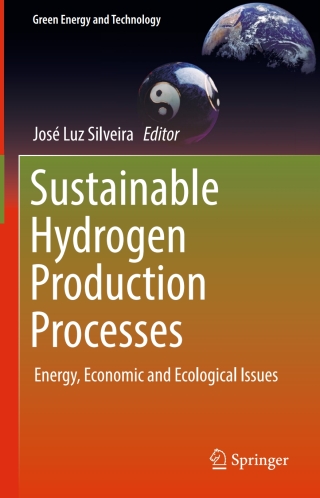 صورة الغلاف: Sustainable Hydrogen Production Processes 9783319416144