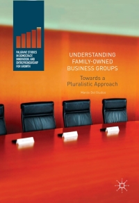 Imagen de portada: Understanding Family-Owned Business Groups 9783319422428