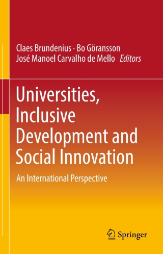 صورة الغلاف: Universities, Inclusive Development and Social Innovation 9783319436982