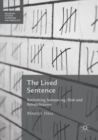 Cover image: The Lived Sentence 9783319450377
