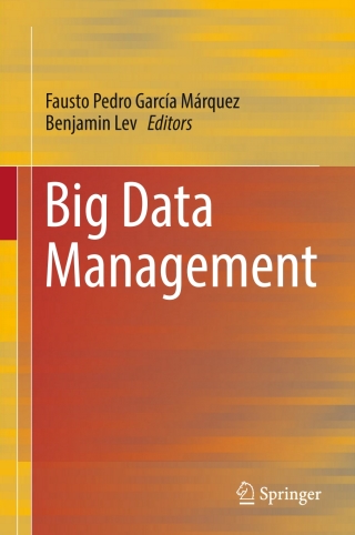 Immagine di copertina: Big Data Management 9783319454979