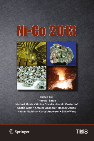 Cover image: Ni-Co 2013 9781118605752