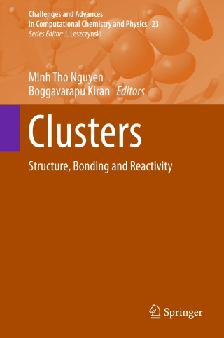 Cover image: Clusters 9783319489162