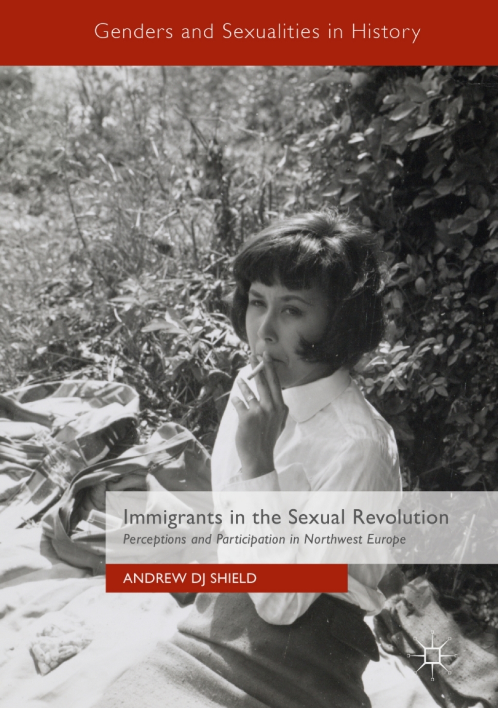 Immigrants in the Sexual Revolution Perceptions and Participation in Northwest Europe