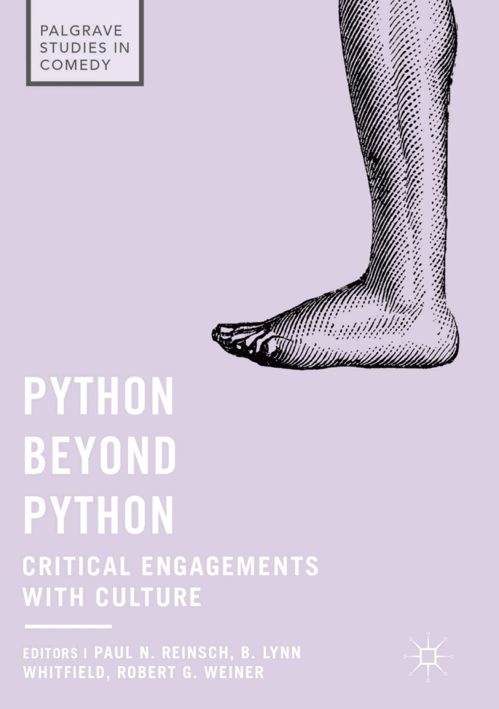 Python beyond Python (eBook Rental)