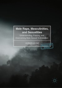 Titelbild: Male Rape, Masculinities, and Sexualities 9783319526386