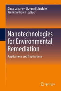 Imagen de portada: Nanotechnologies for Environmental Remediation 9783319531618