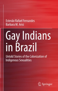Cover image: Gay Indians in Brazil 9783319532240