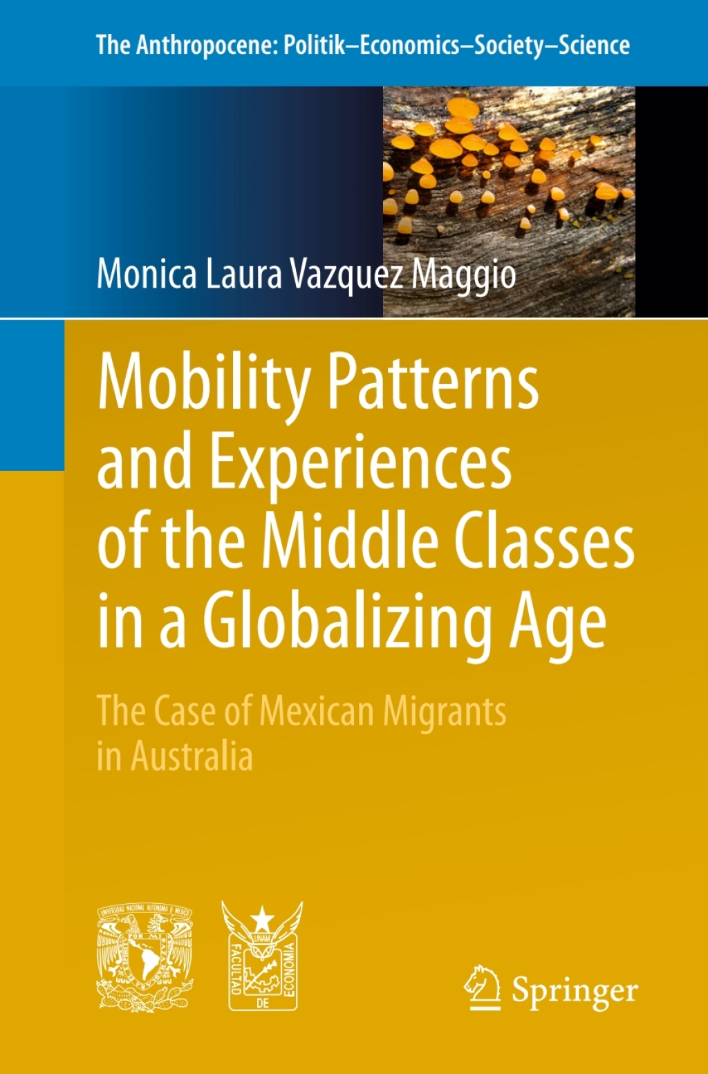 Mobility Patterns and Experiences of the Middle Classes in a Globalizing Age The Case of Mexican Migrants in Australia