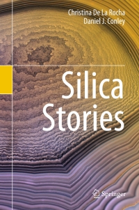 Cover image: Silica Stories 9783319540535
