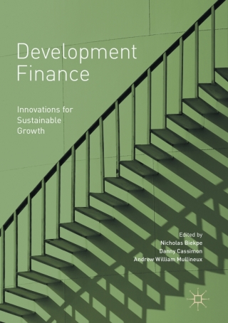 表紙画像: Development Finance 9783319541655