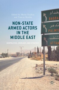 Omslagafbeelding: Non-State Armed Actors in the Middle East 9783319552866