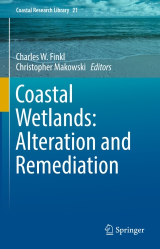 Omslagafbeelding: Coastal Wetlands: Alteration and Remediation 9783319561783