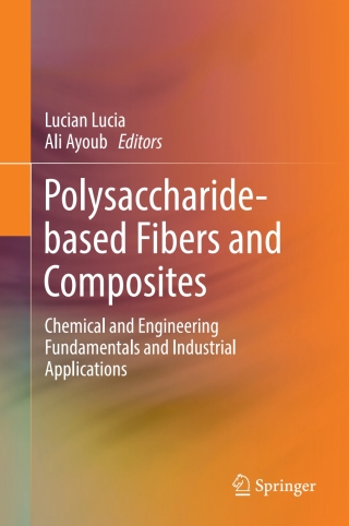 Omslagafbeelding: Polysaccharide-based Fibers and Composites 9783319565958