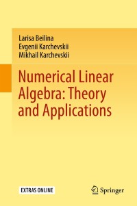 Titelbild: Numerical Linear Algebra: Theory and Applications 9783319573021