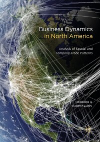صورة الغلاف: Business Dynamics in North America 9783319576053