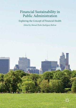 表紙画像: Financial Sustainability in Public Administration 9783319579610