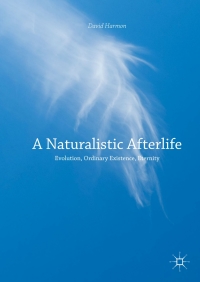 表紙画像: A Naturalistic Afterlife 9783319579771