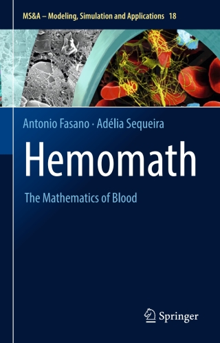 Cover image: Hemomath 9783319605128