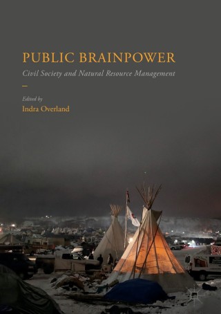 Cover image: Public Brainpower 9783319606262