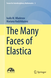 Omslagafbeelding: The Many Faces of Elastica 9783319612423