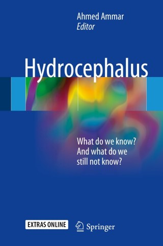 Cover image: Hydrocephalus 9783319613031