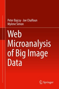 Cover image: Web Microanalysis of Big Image Data 9783319633596