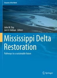 Omslagafbeelding: Mississippi Delta Restoration 9783319656625