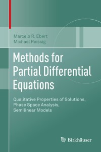 Titelbild: Methods for Partial Differential Equations 9783319664552