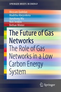 Omslagafbeelding: The Future of Gas Networks 9783319667836