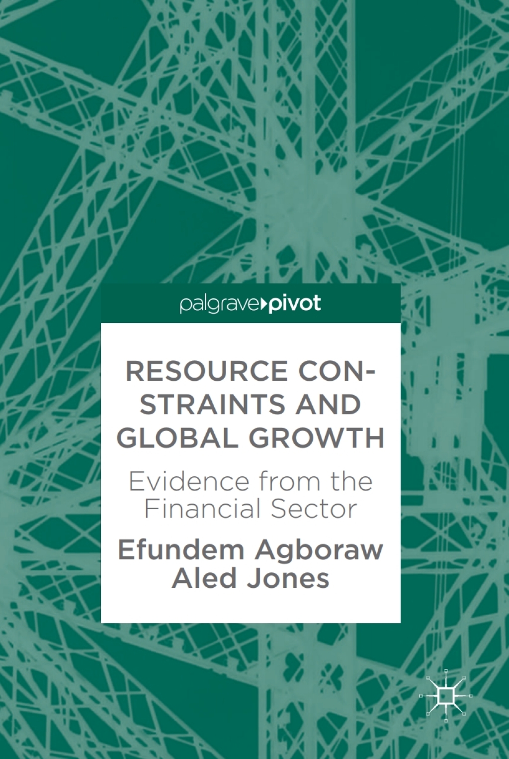 Resource Constraints and Global Growth Evidence from the Financial Sector