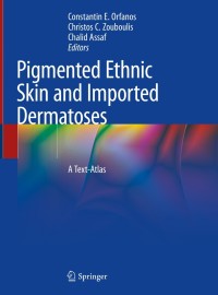 表紙画像: Pigmented Ethnic Skin and Imported Dermatoses 9783319694214