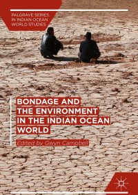 Titelbild: Bondage and the Environment in the Indian Ocean World 9783319700274