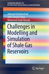 Titelbild: Challenges in Modelling and Simulation of Shale Gas Reservoirs 9783319707686