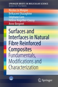 Omslagafbeelding: Surfaces and Interfaces in Natural Fibre Reinforced Composites 9783319714097