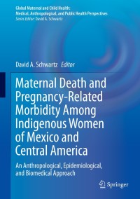 Imagen de portada: Maternal Death and Pregnancy-Related Morbidity Among Indigenous Women of Mexico and Central America 9783319715377
