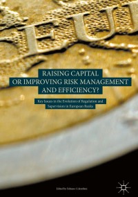 Cover image: Raising Capital or Improving Risk Management and Efficiency? 9783319717487