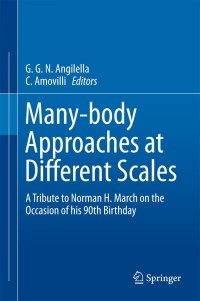 Cover image: Many-body Approaches at Different Scales 9783319723730