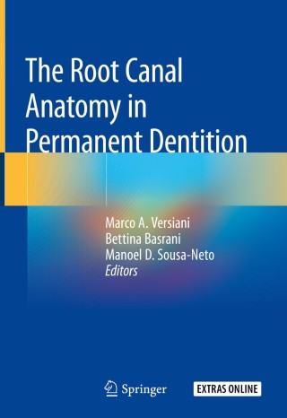Cover image: The Root Canal Anatomy in Permanent Dentition 9783319734439