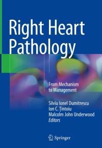 Titelbild: Right Heart Pathology 9783319737638