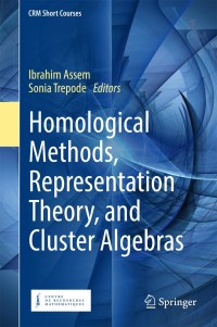 Immagine di copertina: Homological Methods, Representation Theory, and Cluster Algebras 9783319745848