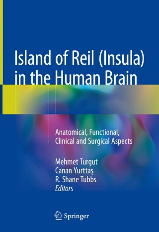 Cover image: Island of Reil (Insula) in the Human Brain 9783319754673