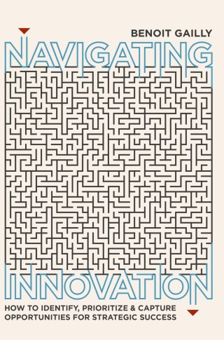 Titelbild: Navigating Innovation 9783319771908