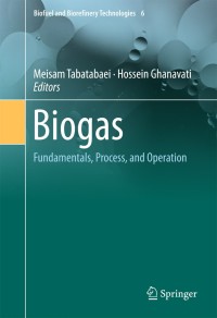 表紙画像: Biogas 9783319773346