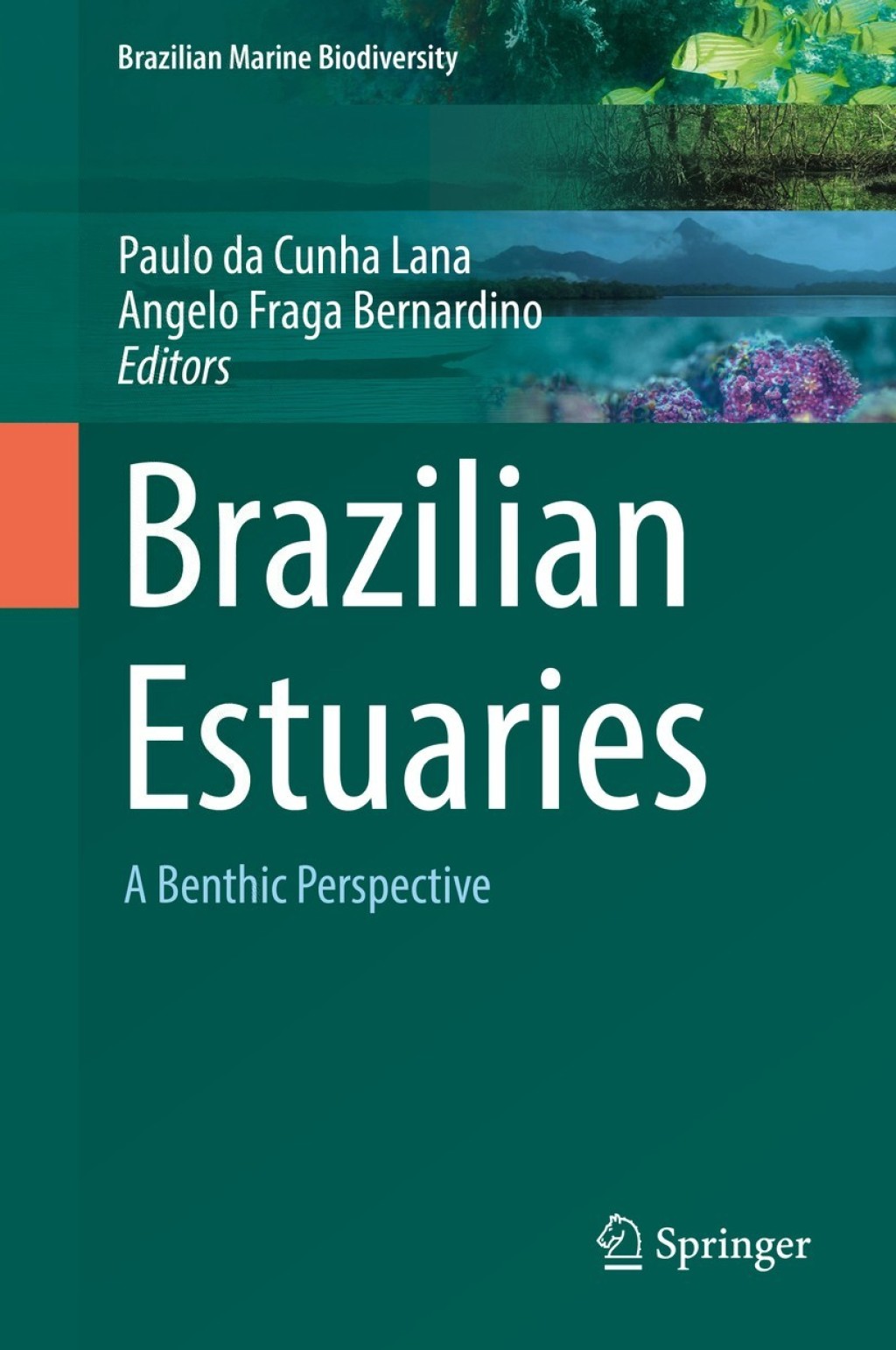 Brazilian Estuaries A Benthic Perspective