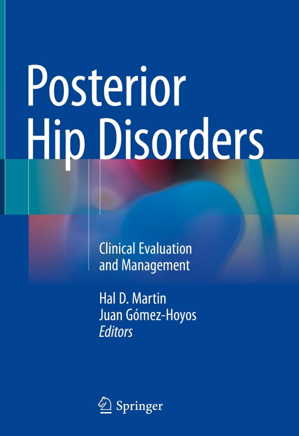 Posterior Hip Disorders Clinical Evaluation and Management
