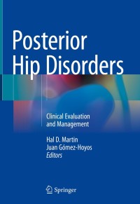 Titelbild: Posterior Hip Disorders 9783319780382