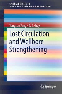Titelbild: Lost Circulation and Wellbore Strengthening 9783319894348
