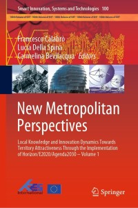 Cover image: New Metropolitan Perspectives 9783319920986
